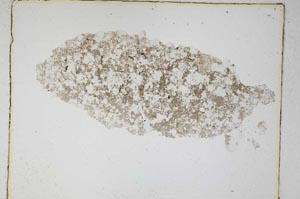 Plane Polarized, S4675