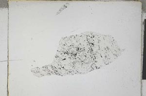 Plane Polarized, S4698