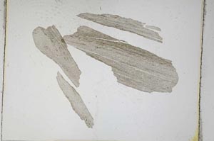 Plane Polarized, S4712