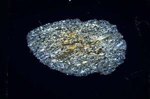 Cross Polarized, S4717