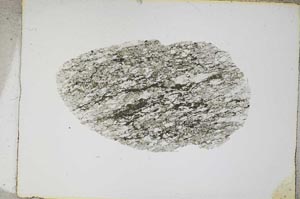 Plane Polarized, S4717