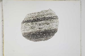 Plane Polarized, S4736