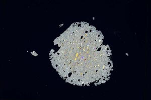 Cross Polarized, S4765