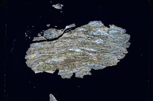 Cross Polarized, S4767