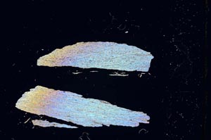 Cross Polarized, S4768