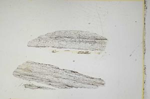 Plane Polarized, S4768