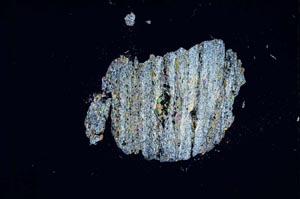 Cross Polarized, S4769