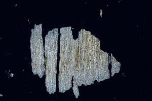 Cross Polarized, S4770