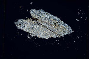 Cross Polarized, S4771