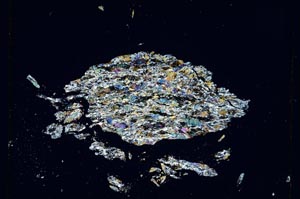 Cross Polarized, S4772