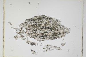 Plane Polarized, S4772