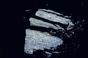 Cross Polarized, S4776