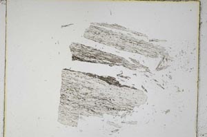 Plane Polarized, S4776