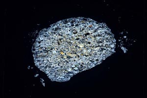 Cross Polarized, S4777