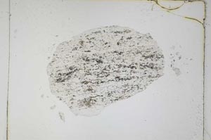 Plane Polarized, S4777