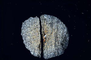 Cross Polarized, S4798