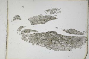 Plane Polarized, S4816