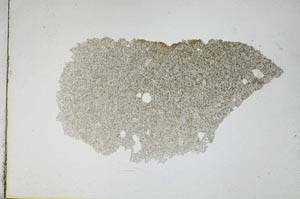 Plane Polarized, S4822