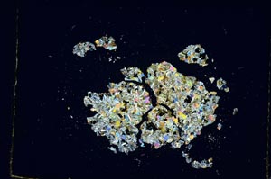 Cross Polarized, S4830