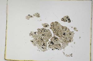 Plane Polarized, S4830