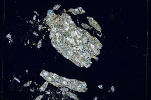 Cross Polarized, S4831