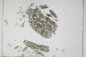 Plane Polarized, S4831