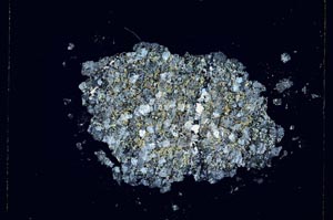 Cross Polarized, S4832