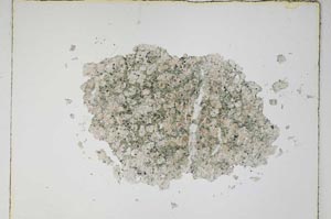 Plane Polarized, S4832