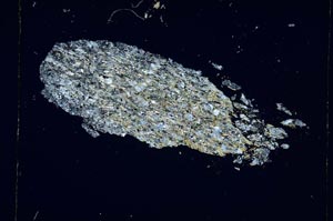 Cross Polarized, S4833