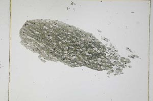 Plane Polarized, S4833