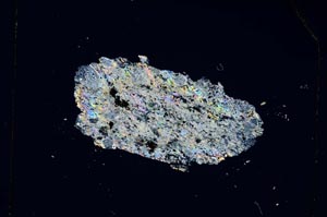 Cross Polarized, S4834