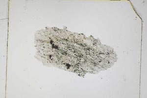 Plane Polarized, S4834