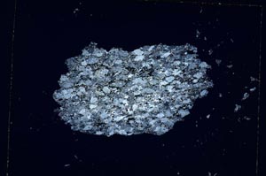 Cross Polarized, S4835