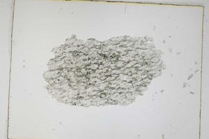 Plane Polarized, S4835