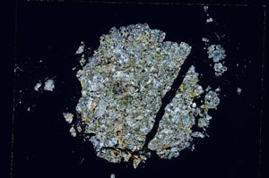 Cross Polarized, S4836