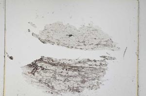 Plane Polarized, S4839