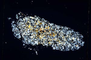 Cross Polarized, S4849