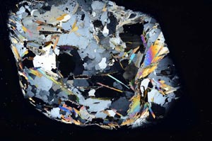 Cross Polarized, S4851