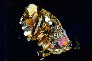 Cross Polarized, S4851/a