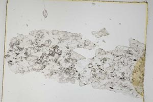 Plane Polarized, S4859