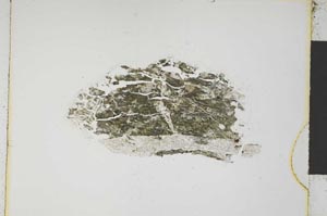 Plane Polarized, S4896
