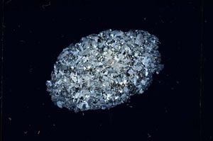 Cross Polarized, S4898