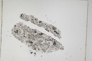 Plane Polarized, S4899