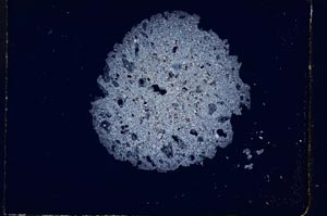 Cross Polarized, S4900