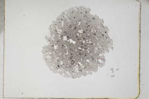 Plane Polarized, S4900