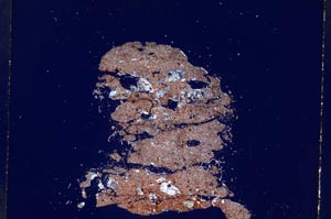 Cross Polarized, S4902