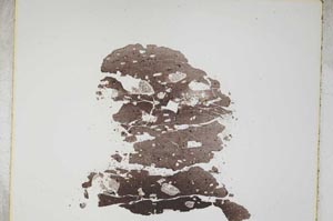 Plane Polarized, S4902