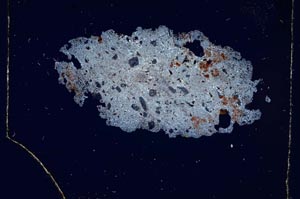 Cross Polarized, S4903