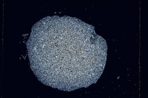 Cross Polarized, S4907