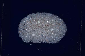 Cross Polarized, S4909